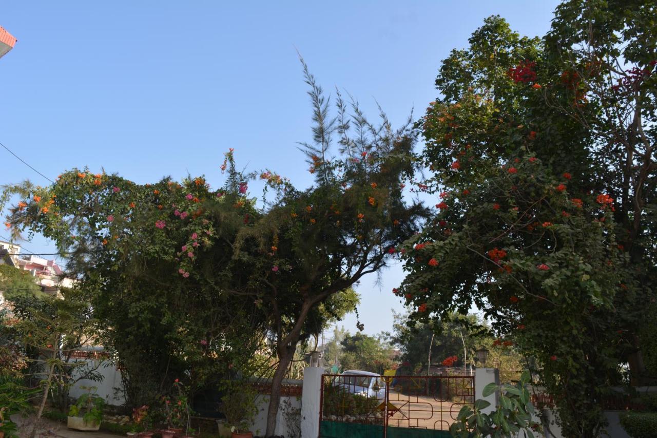 Jheelam Homestay Бхопал Екстер'єр фото